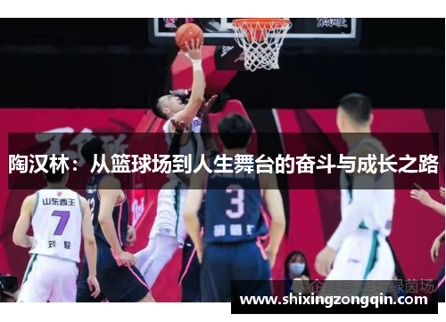 陶汉林：从篮球场到人生舞台的奋斗与成长之路