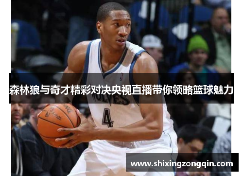 森林狼与奇才精彩对决央视直播带你领略篮球魅力